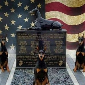 Meet your Posher, Joseph